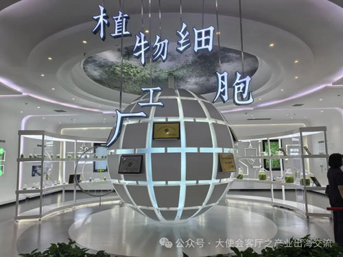尼泊尔政商代表团莅临金木集团考察交流