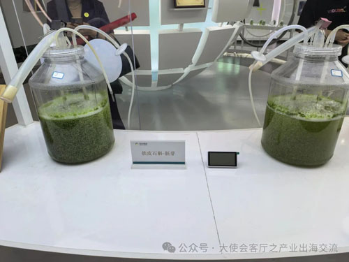 尼泊尔政商代表团莅临金木集团考察交流