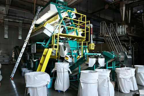 理想华莱抢抓制茶黄金期 释放夏茶独特价值