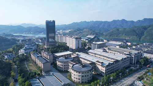 理想华莱抢抓制茶黄金期 释放夏茶独特价值