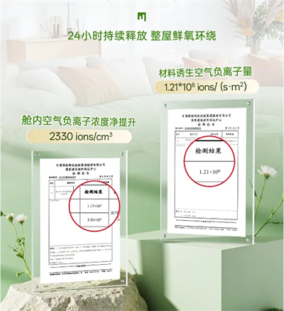 安然健康家核心技术获评国际先进，赋能健康家事业新高度