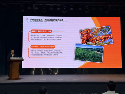 宇航人受邀出席全球土地可持续发展研讨会