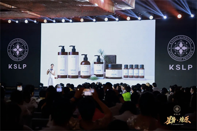 聚星成势，燎原启新！康力KSLP高峰会璀璨收官