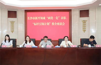 绿之韵党委获评长沙市新兴领域“标杆引领党组织”