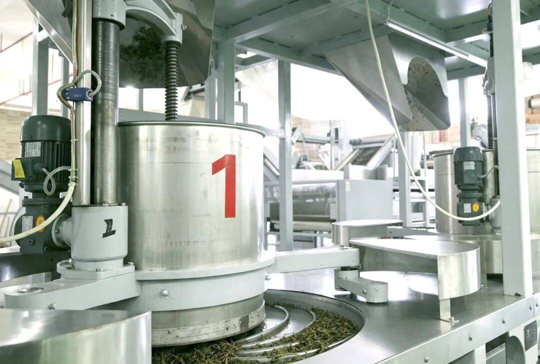 科技铸匠心 鲜叶焕茶香——实地探访理想华莱万隆黑茶产业园初制加工车间