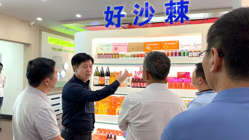 广东省市监局调研组莅临宇航人开展专题调研