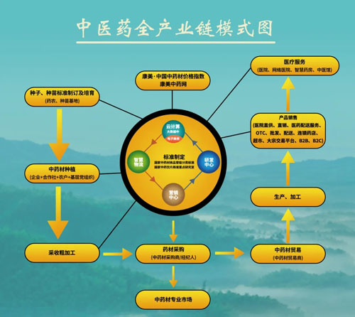 十余年织网 康美智慧药房重构中医药服务生态