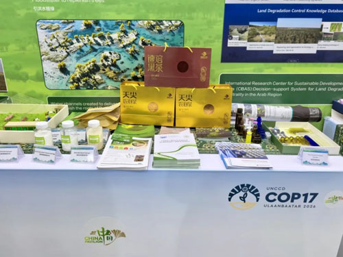理想华莱走进联合国COP17大会 成果展示