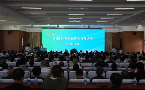 安惠董事长陈惠参加2026猴头菇产业发展大会