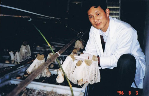 安发高益槐出席第七届中国食用菌产业博览会
