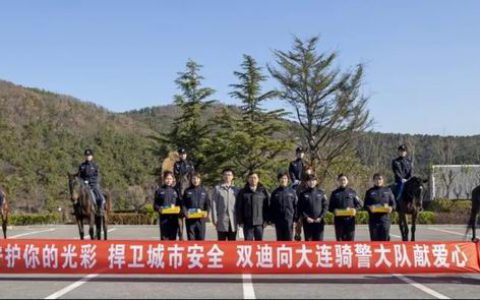 国际慈善日 | 微光成炬，双迪慈善从未停歇