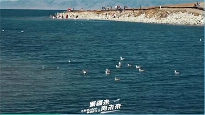 聚疆来·向未来——太阳神2026年新疆之旅盛景续启