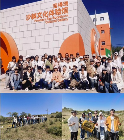 完美张北沙棘溯源之旅圆满收官共话创业新范式