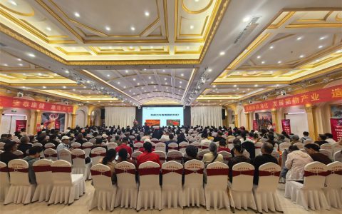 “健康中国 安惠在行动”石家庄站报告会举行