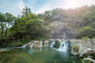 2026无限极（香港）茯苓溯源之旅走进岳西