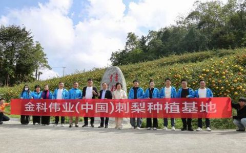 金科伟业市场部赴贵州桐梓基地深度考察