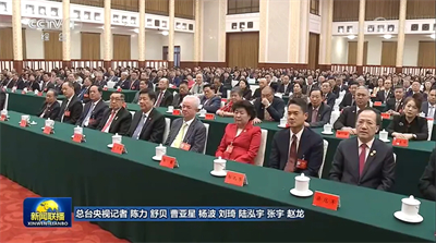 完美古润金董事长出席中国侨联成立70周年纪念大会